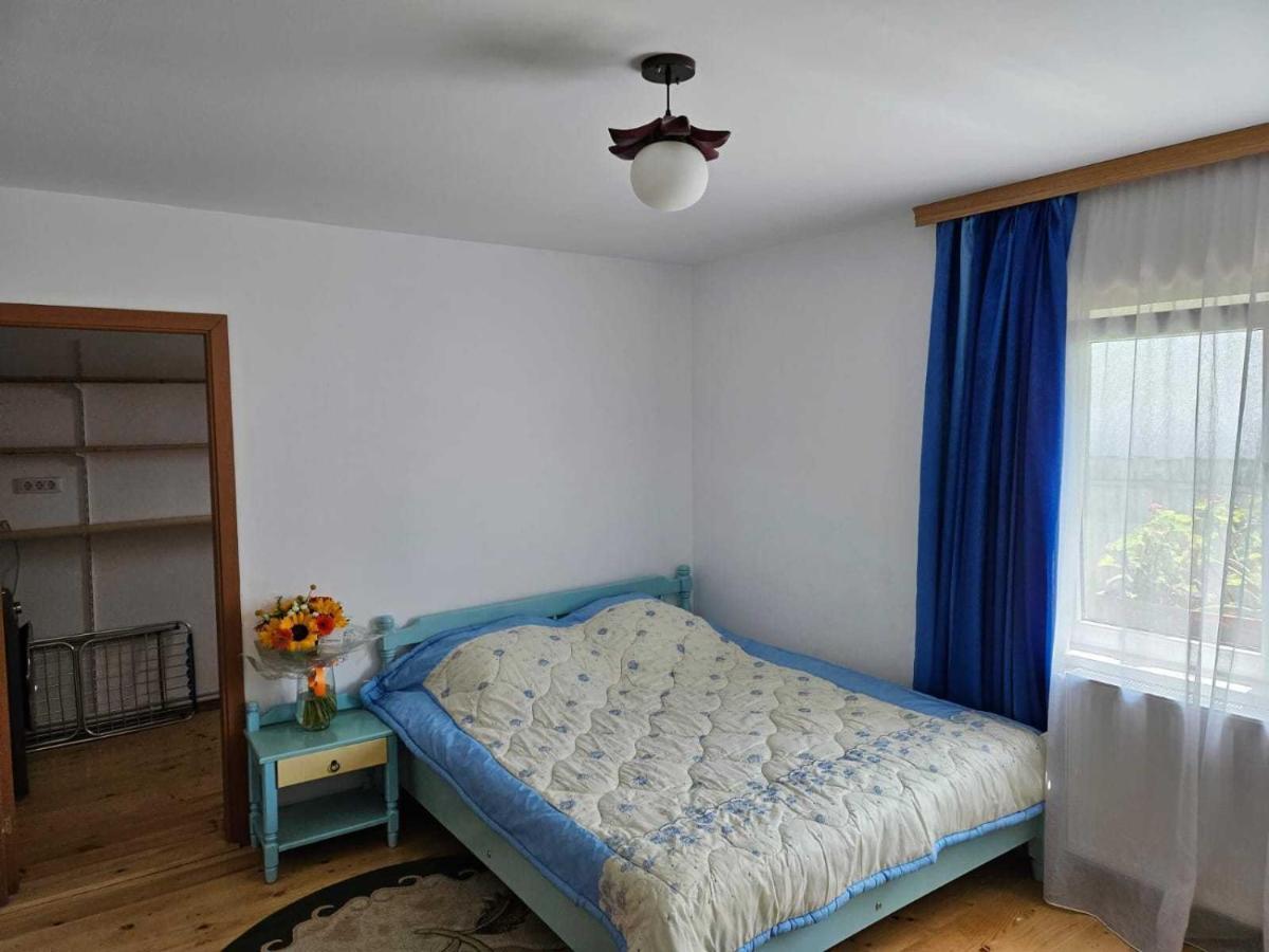 Muzicii 11 - Cozy Seaside Apartments Năvodari Eksteriør bilde