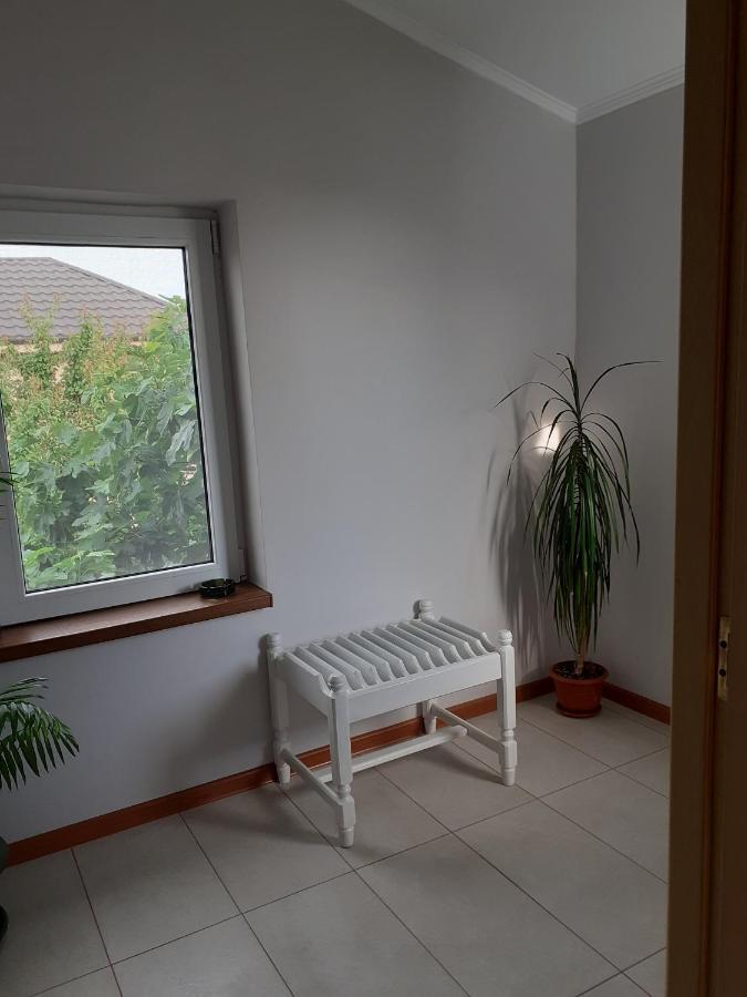 Muzicii 11 - Cozy Seaside Apartments Năvodari Eksteriør bilde